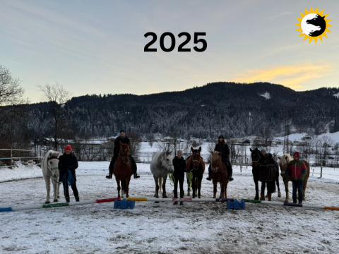 neujahrssprung 2025