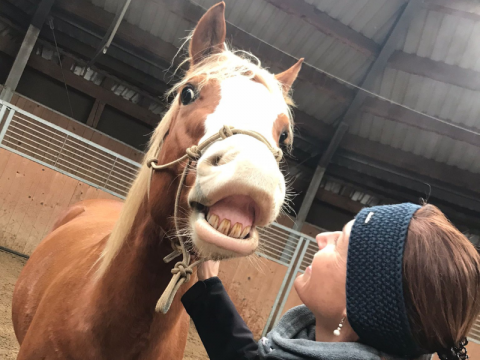 Pferdeunterstütztes Coaching